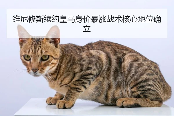 维尼修斯续约皇马身价暴涨战术核心地位确立